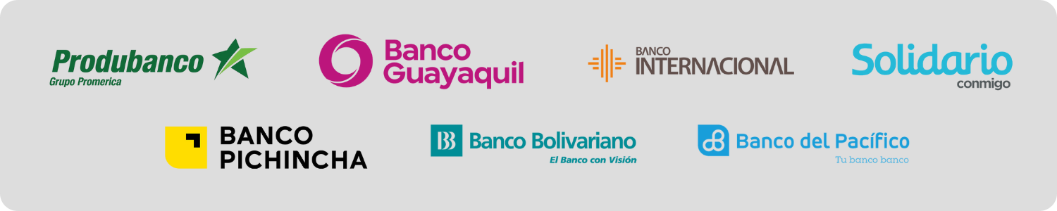 Medios de pago aceptados en Kissu